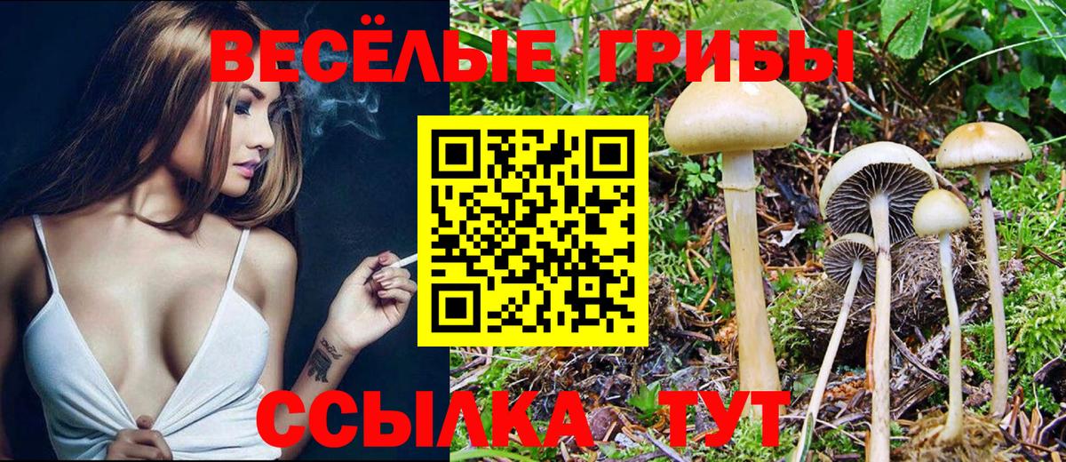 Наро-Фоминск  Псилоцибиновые грибы Cubensis  Вход с VPN  Псилоцибиновые грибы Magic Shrooms 