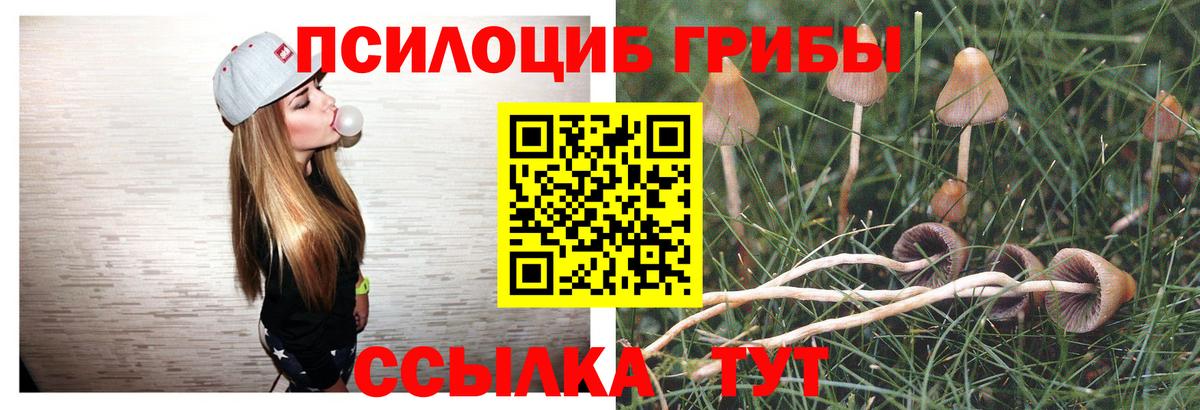 Галлюциногенные грибы GOLDEN TEACHER Наро-Фоминск